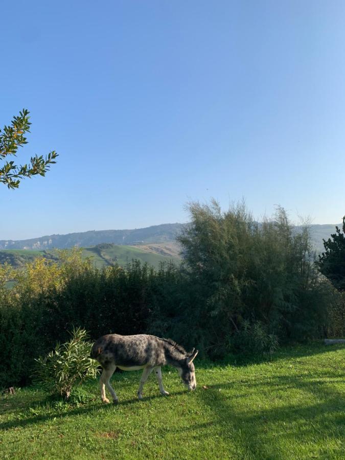 Relais B&B Betty Bike Sasso Feltrio Dış mekan fotoğraf